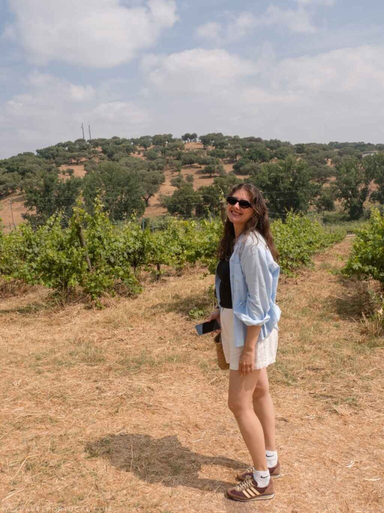 Ana Veiga - Arraiolos Vineyard