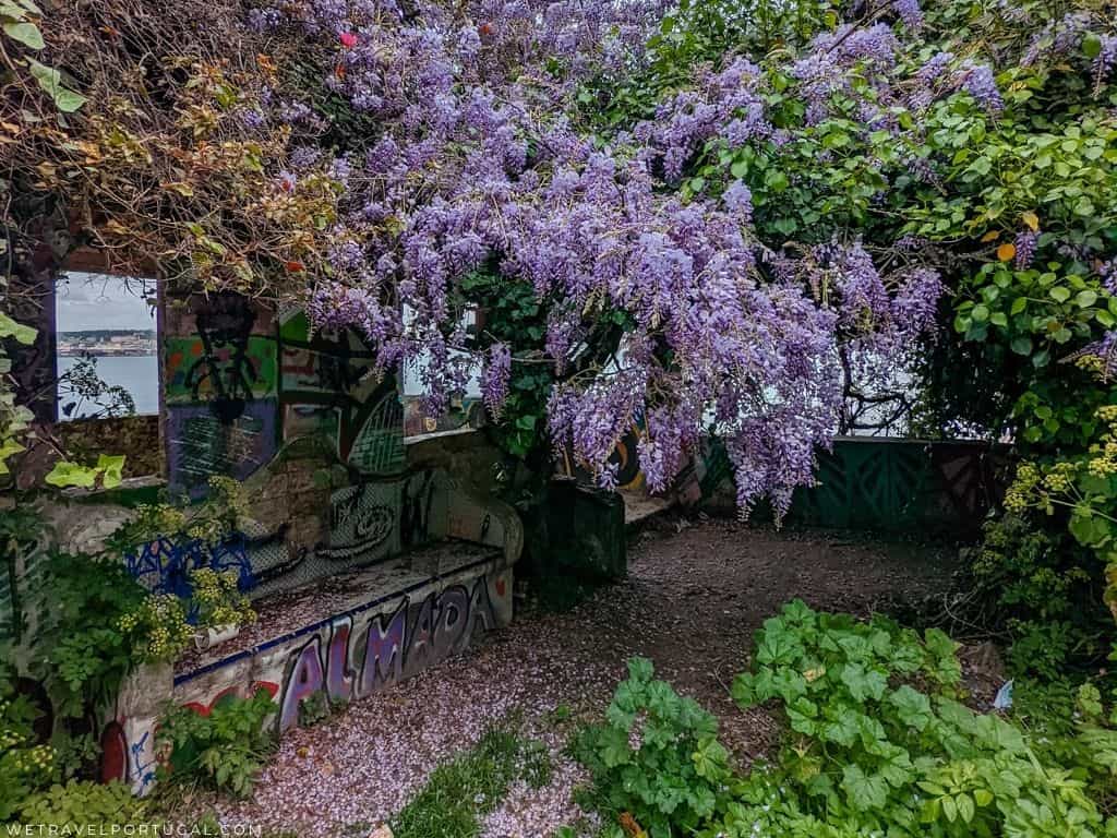 Quinta da Arealva Jardim