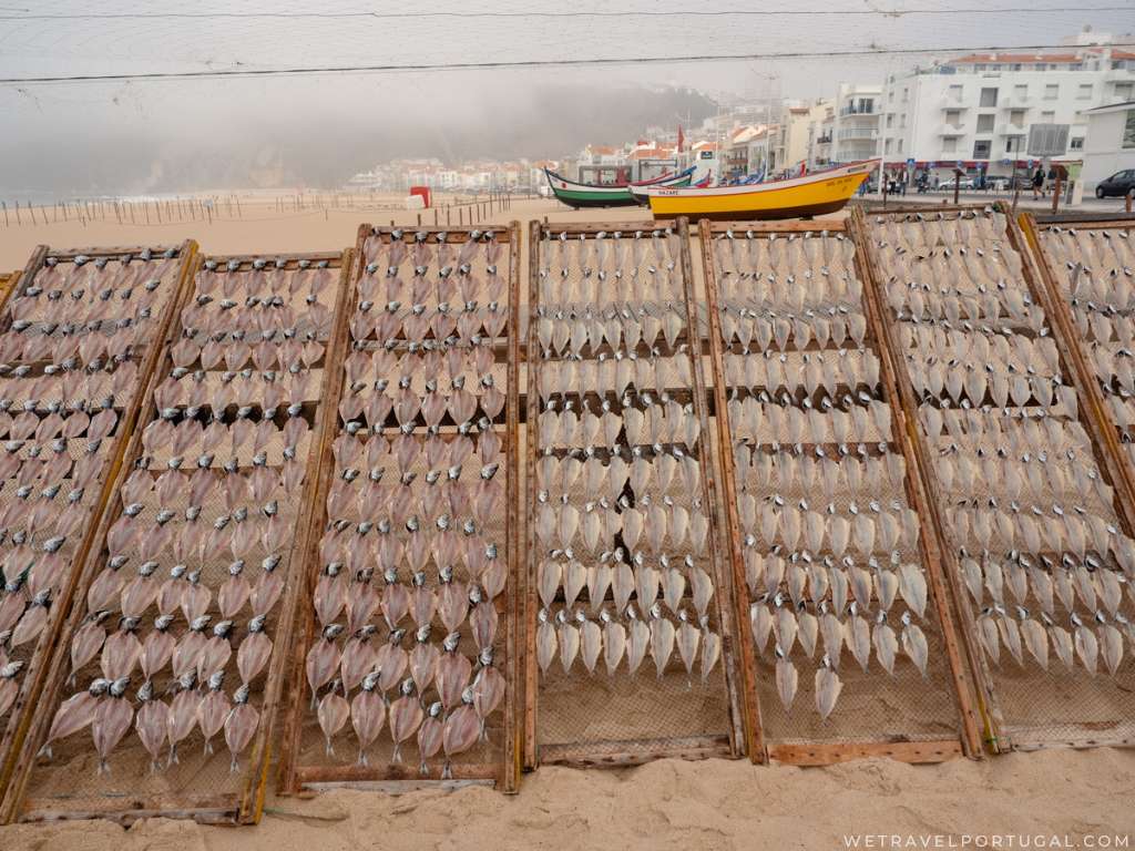 Drying Fish in Portugal