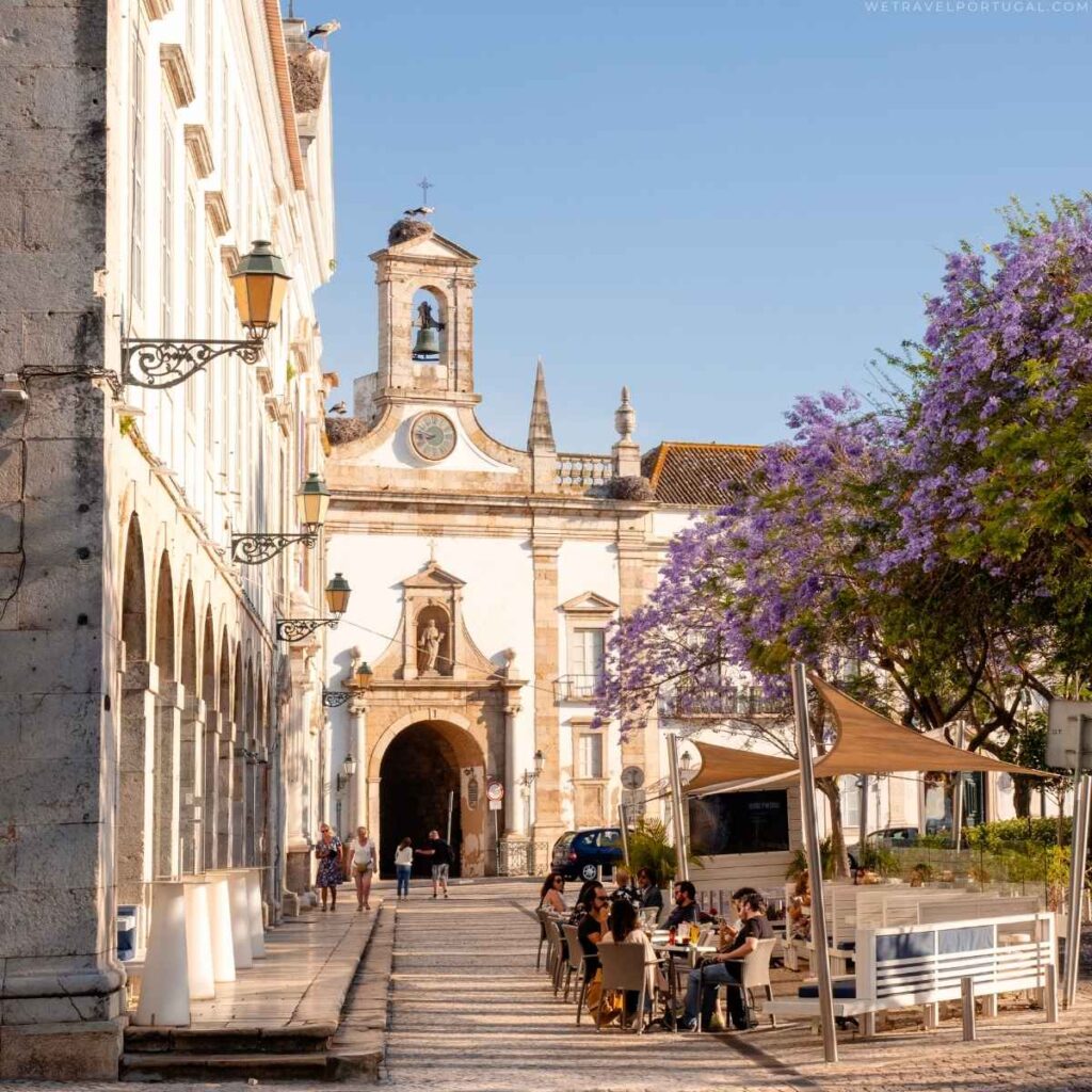 Faro Cafe unde Jacaranda Bloom