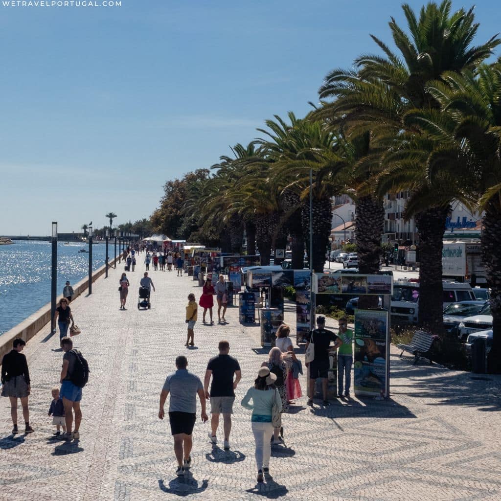 Lagos Palm tree promenade