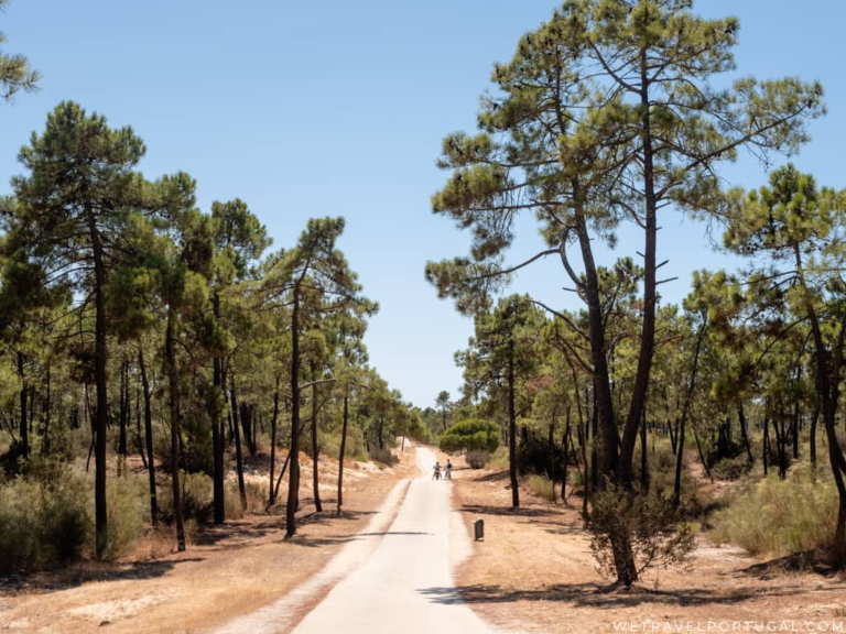 Monte Gordo The Complete Guide to Monte Gordo, Portugal