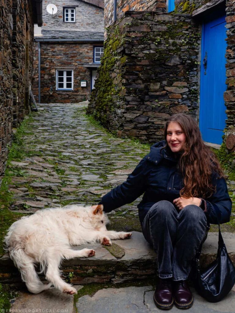 Piodao Street's Dog